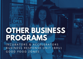 Other Business Programs